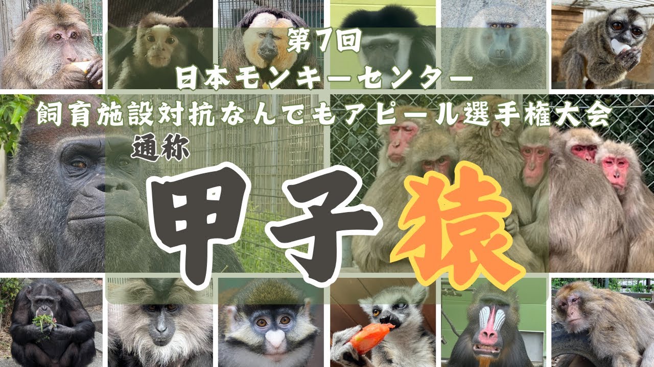 第7回 甲子猿 開催決定！