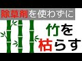 竹を枯らす方法【除草剤を使わない枯らし方】