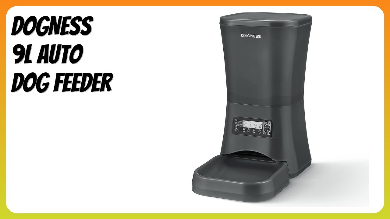 REVIEW (2025): DOGNESS 9L Auto Dog Feeder. Features