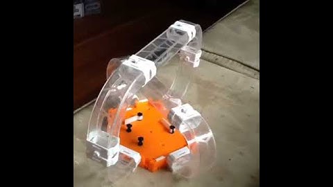 My new hexbug