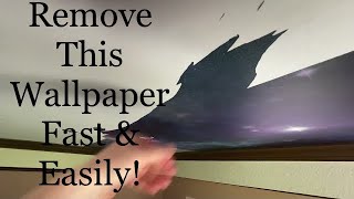 Remove Your Wallpaper Fast & Easily Like This - Spencer Colgan
