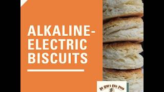 Alkaline-Electric Biscuits