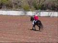 Barrel horse ace giving boot scootin boogie lessons