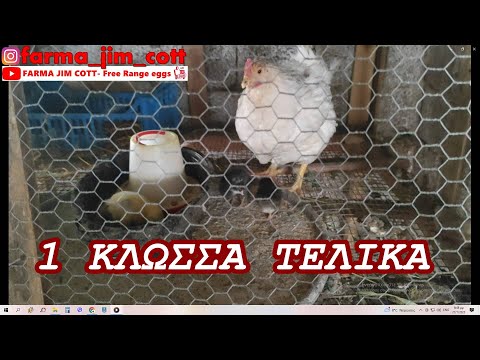 1 Κλωσσα τελικά