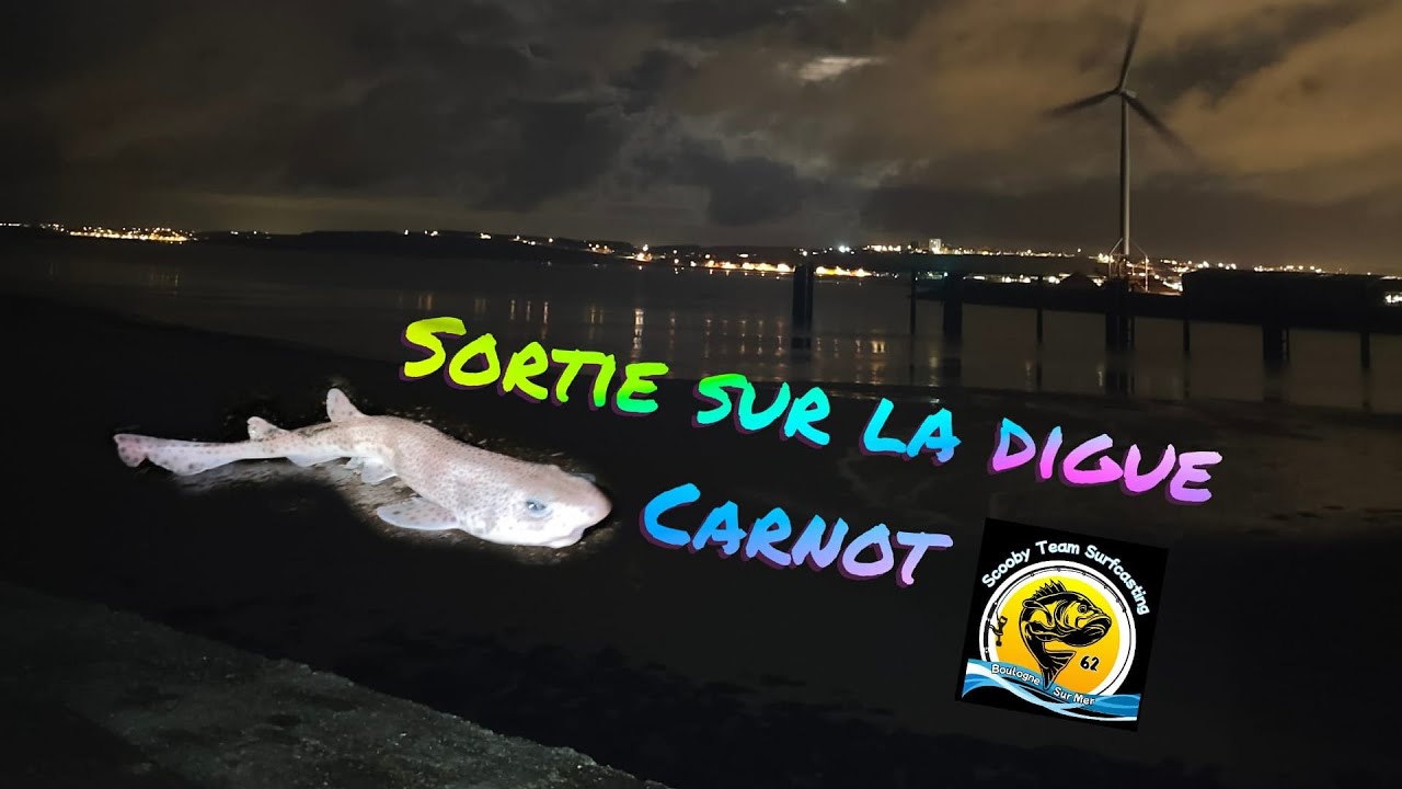 Pêche a la digue Carnot 