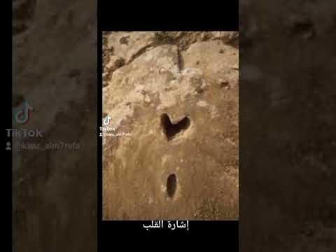 تحليل إشارة القلب و كيف يمكن أن تجد هدفه