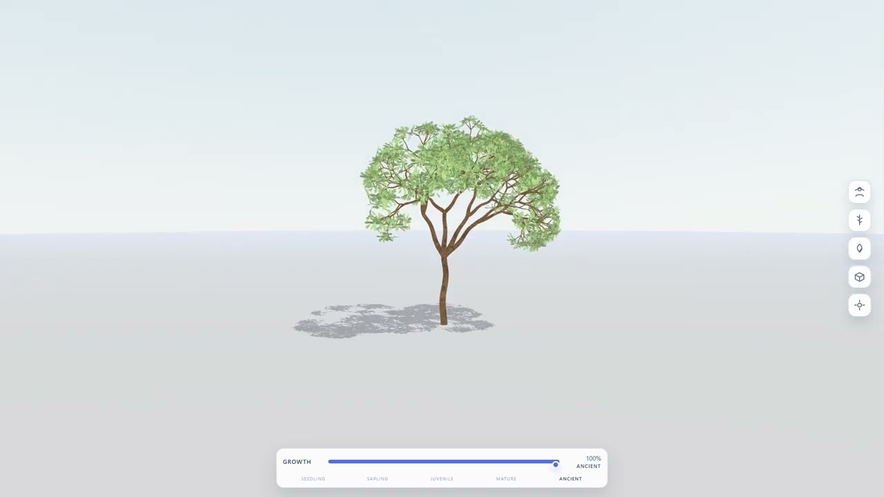 Tree Growth Simulation | Metaplanets