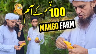 Mufti Tariq Masood Mango Farm Vlog 2023