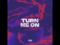 Afro Warriors - Turn Me On Mp3