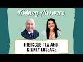 Hibiscus Tea For Kidney Disease