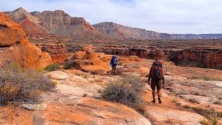 Backpacking the Grand Canyon's Kanab Creek Wilderness: 6 Day Jumpup Esplanade Loop Hike