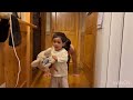 PUSHUPS DAY 131 with guest cameraman #fitness #fitnessmotivation #homeworkout #kids#bodybuilding