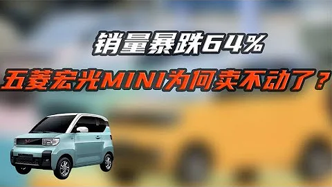 销量暴跌64%，五菱宏光MINI为何卖不动了？ - 天天要闻