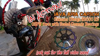 Famous Java AriA Carbon - Shimano Ulterga R8000 RD & OSPW itwoo with sealed ceramic bearing. #insta360 Profile