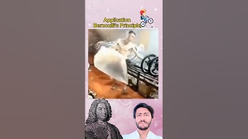 Real-Life Applications of Bernoulli’s Principle | The Science of Fast-Moving Fluids! #physic