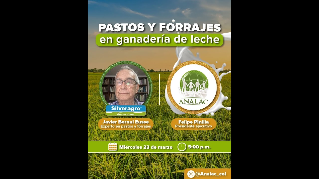 Pastos y forrajes en ganadería de leche