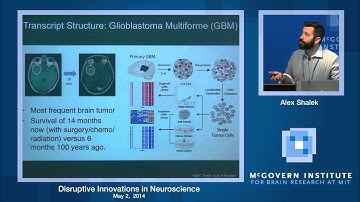 Disruptive Innovations in Neuroscience: Alex Shalek