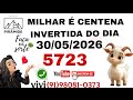PALPITES PARA O DIA 30 DE MAIO DE 2026
