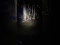 Thru NiTe Saber, rechargeable edc flashlight #flashlight #edc