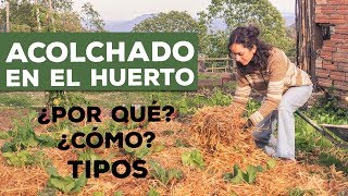 ACOLCHADO EN EL HUERTO | Cómo, por qué y tipos