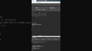 tcpdump и dns spoof #пентест #pentesting #hacktheplanet #hak5