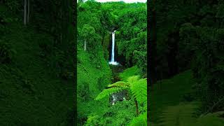 1 Million View ✨🥰#travel #nature #beautiful #world #shortvideo #trending #viral