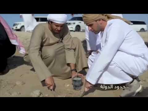 زايد غرس ونحن نواصل إرث التشجير في الإمارات