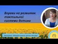 Розвиток тактильнї системи. Сенсорна інтеграція. #вихованнядітей