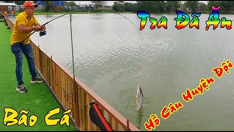 Bão Cá Tra Hồ Huyện Đội Hóc Môn | Hồ Huyện Đội Hóc Môn