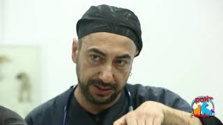 Patinin Hikayesi 96. Bölüm 3. Kısım