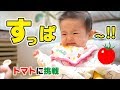 【育児Vlog】トマトを食べた反応は!?生後6ヶ月赤ちゃん!