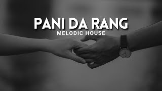 Pani Da Rang - Remix | Melodic House | Debb