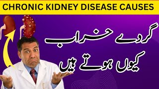 Chronic Kidney Disease Causes And Symptoms in Urdu | Hindi. Kidney kidneydisease