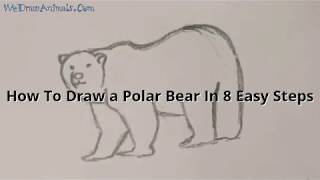 How To Draw A Polar Bear In 8 Easy Steps - Great For Kids & Beginners