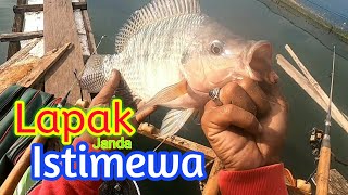 Lapak Janda Istimewa.. Rakit Amat Galaxi Memang Menggoda