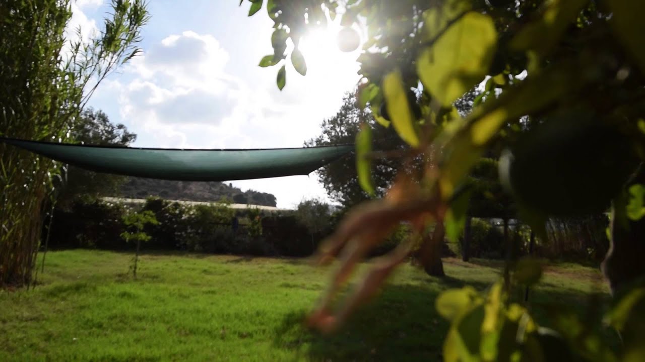 269Life - Coming Home