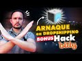 Arnaque en dropshipping  je dmonte une boutique par vincent lvi