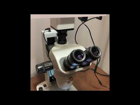 BS3030BT Тринокулярный стереомикроскоп