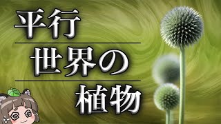 【平行植物】現代科学で解明できない奇妙な植物たち