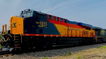 CSX 1973 Chessie System