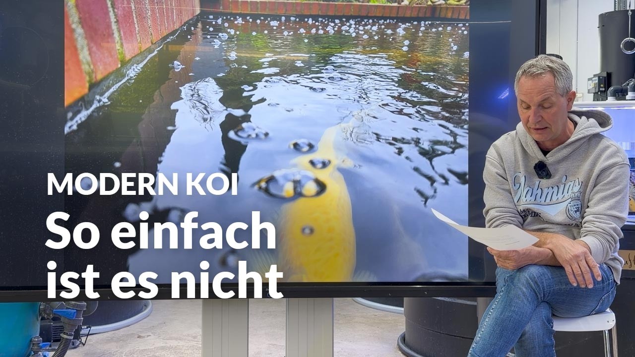 Mehr Schaum durch UV-Lampe – warum? | Modern Koi Blog #8074