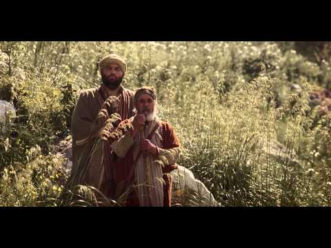 La parabola dei