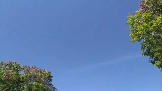 Serene Sky Timelapse: Clear Skies with Gentle Cloud Drifts (22s)