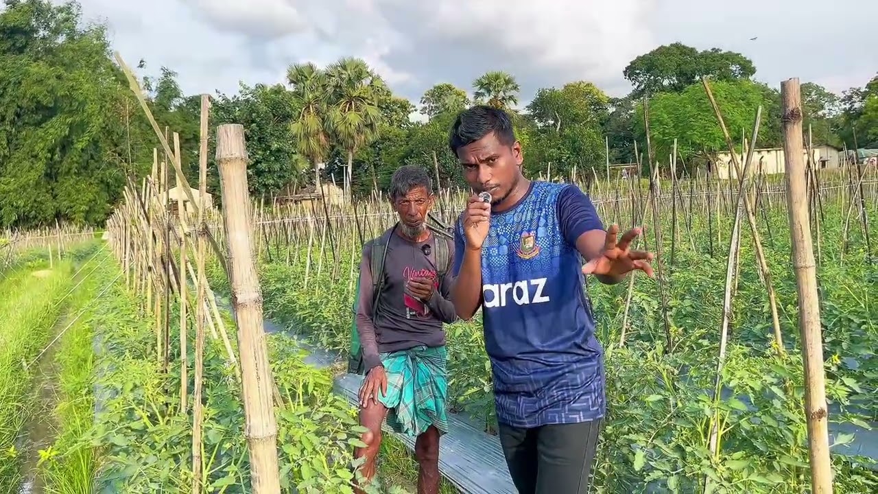 ২৫,,লক্ষ টাকা লাভমান কৃষি করে