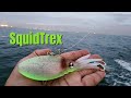 Best squid lure ever made  nomad squidtrex for barred sand bass