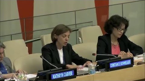 Constance Bommelaer, The Internet Society - UN WSIS+10 consultation