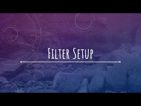 Filter Setup