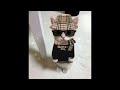 4 Ur Girl Chief Keef Big Baby Tape Aarne Toxi Remix mp3