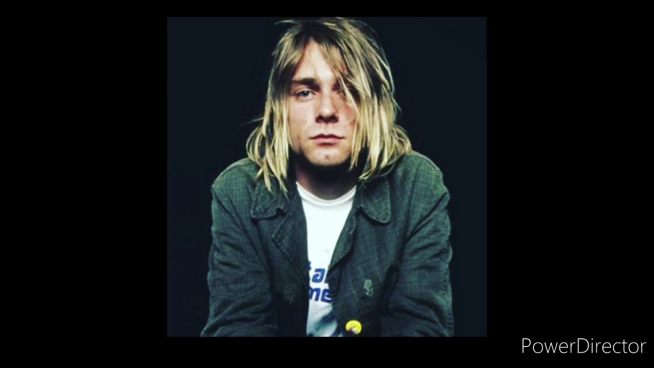 Kurt adler mini christmas tree