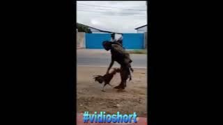 ORANG GILA LAWAN AYAM BANGKOK...#shorts .